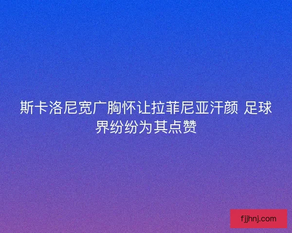 斯卡洛尼宽广胸怀让拉菲尼亚汗颜 足球界纷纷为其点赞